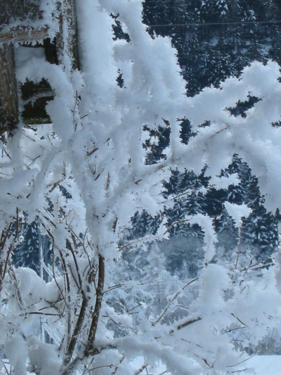 Berghaus Drei Tannen Hotel Oetz Bagian luar foto